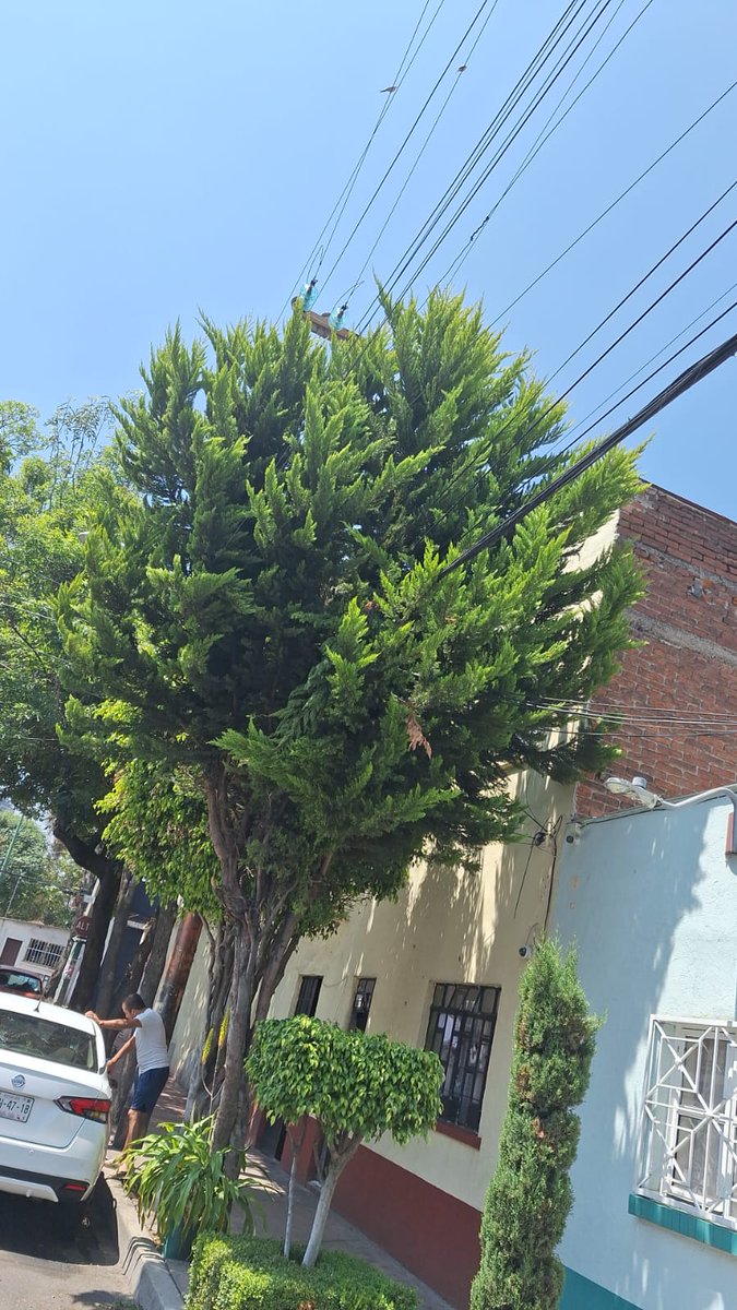 Ruben Rebollo tweet media