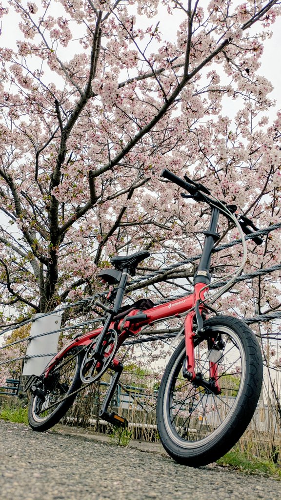 加古川ライダー6（安全第一を優先にライドと釣りを楽しむ） tweet media