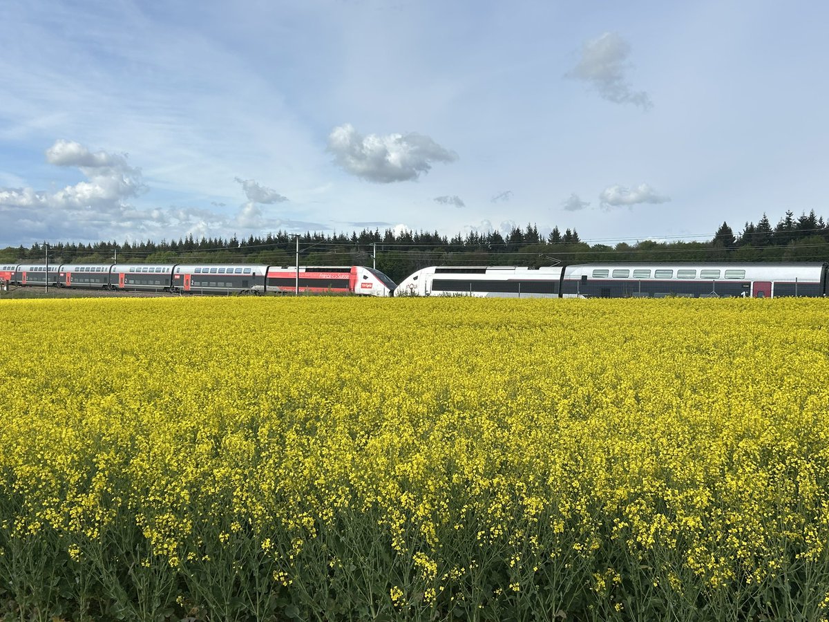 BONNIN1402's tweet photo. Couple @TGV_Lyria / @TGVINOUI : c’est une circulation normale
Mais quels trains ?
Initiales BB :
Besançon
Basel
#pk96 #Villechétive ⚡️ https://t.co/os1mXYeoiD