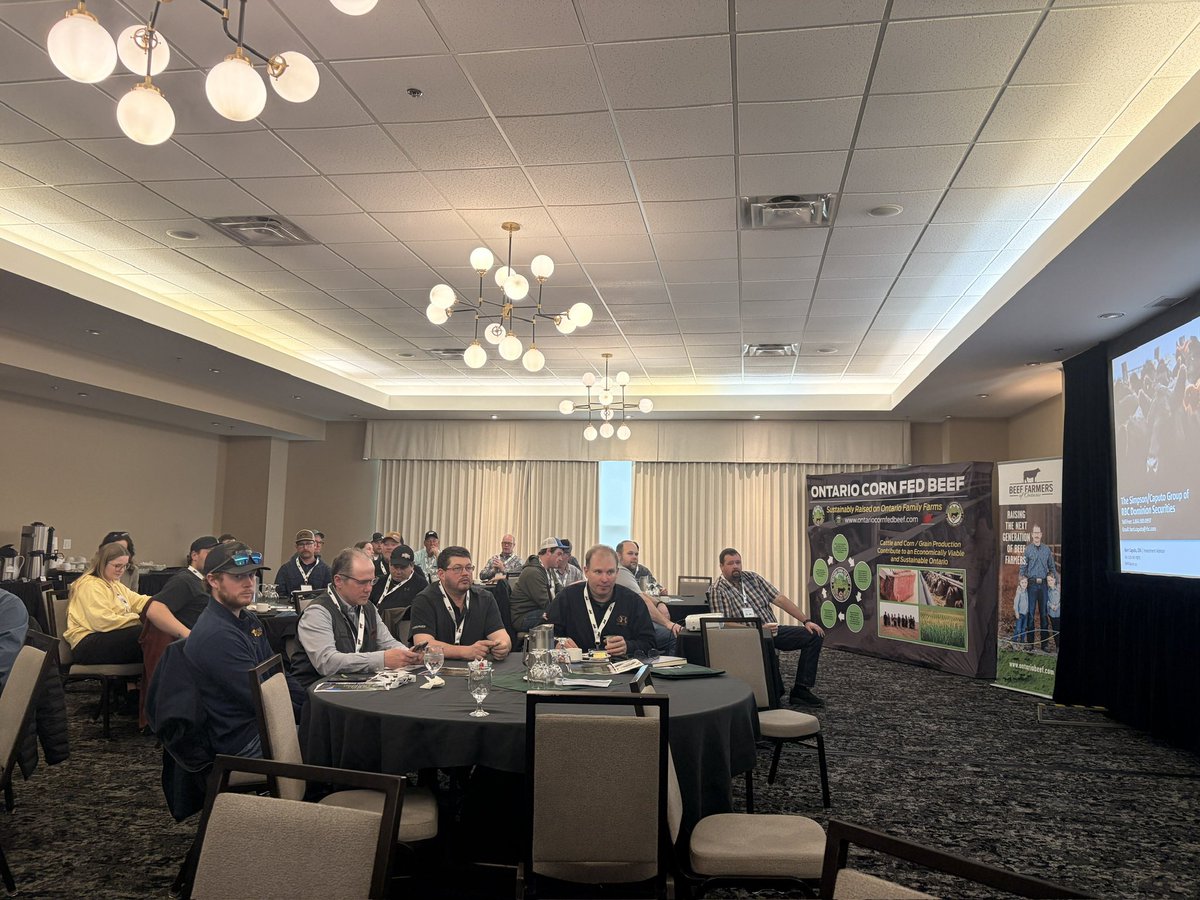 OntarioCornFedBeef tweet media