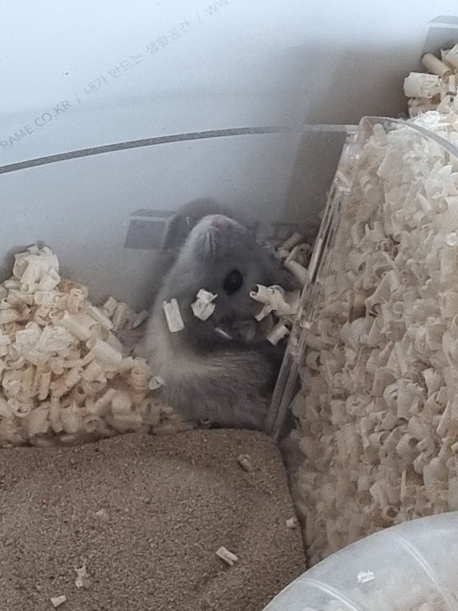 🅿️om tweet media