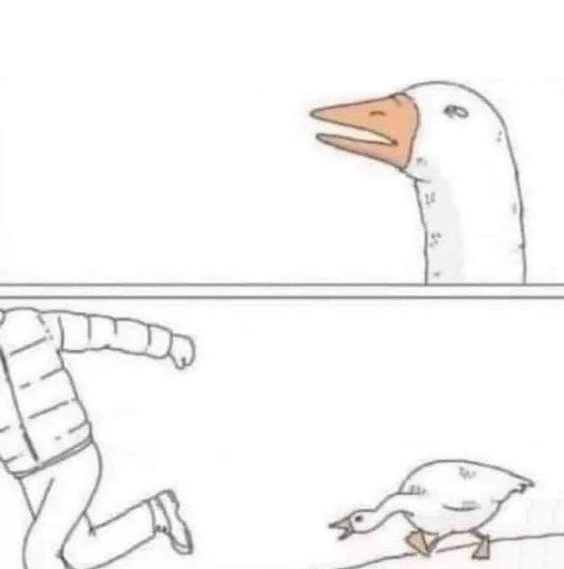 Paul the human tweet media