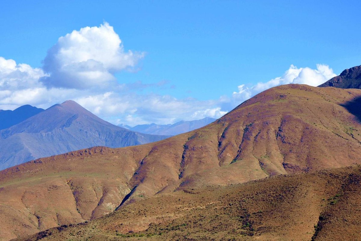 NicaBrands tweet media