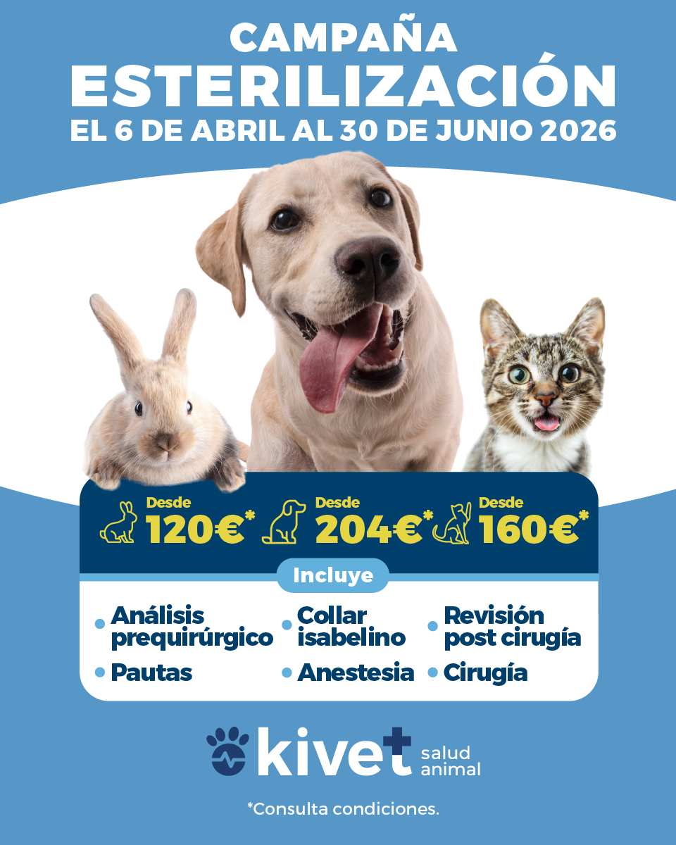 Kivet_'s tweet photo. 🐾 Campaña de esterilización en Kivet

Del 6 de abril al 30 de junio, cuida de su salud con nuestra campaña de esterilización a un precio especial 💙

📍 Pide tu cita en tu clínica Kivet más cercana.

Consulta condiciones.

#Kivet #esterilizacion https://t.co/kXXp3hoOU2