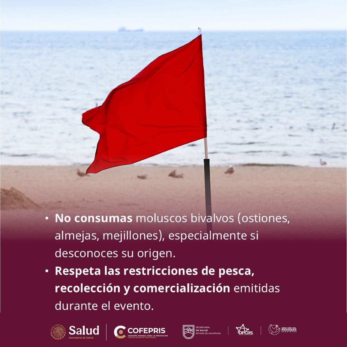 Secretaría de Salud de Zacatecas tweet media