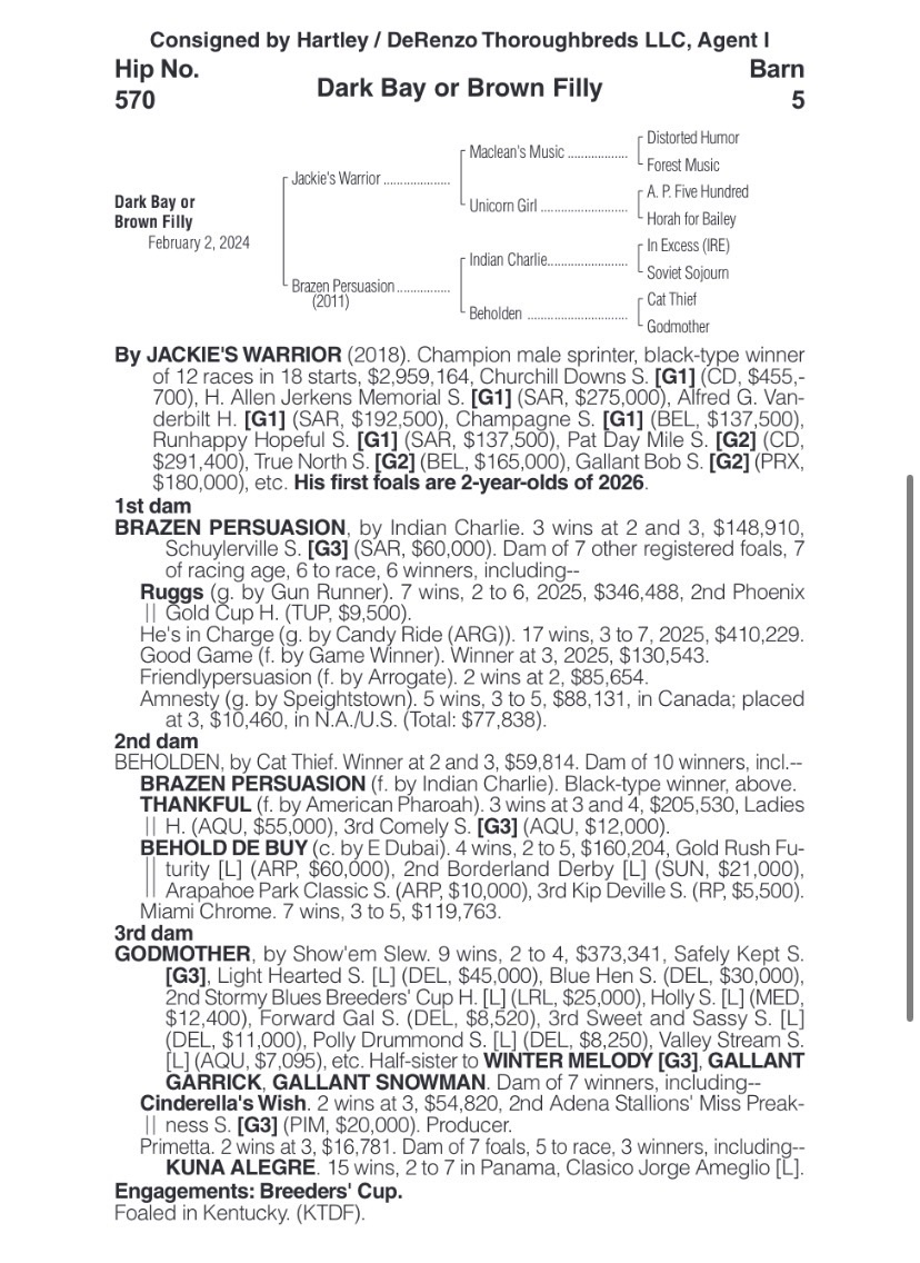 Yastaaa¡🐎 tweet media