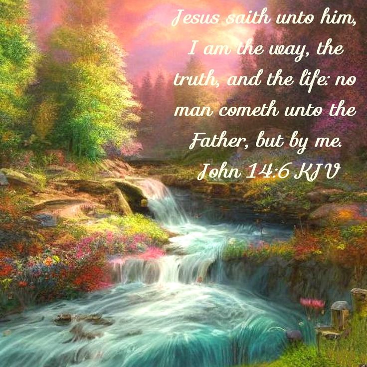 Catherine ♡ =^..^= tweet media