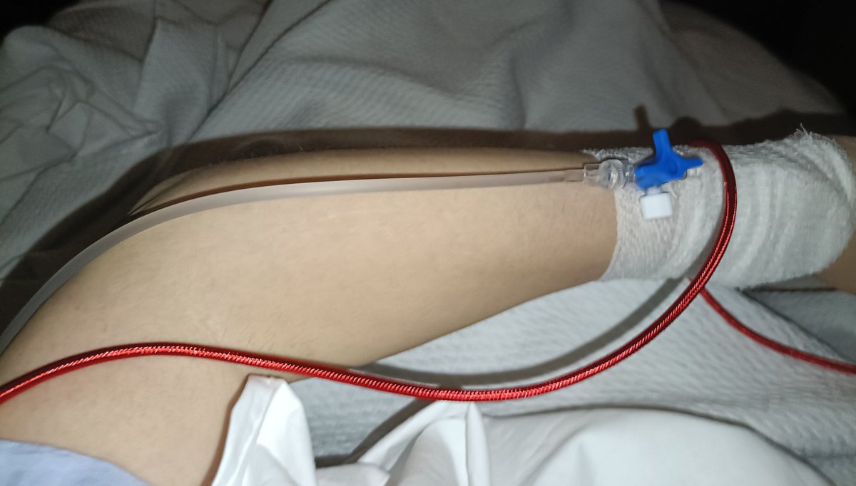 Ana_LaPatata tweet media