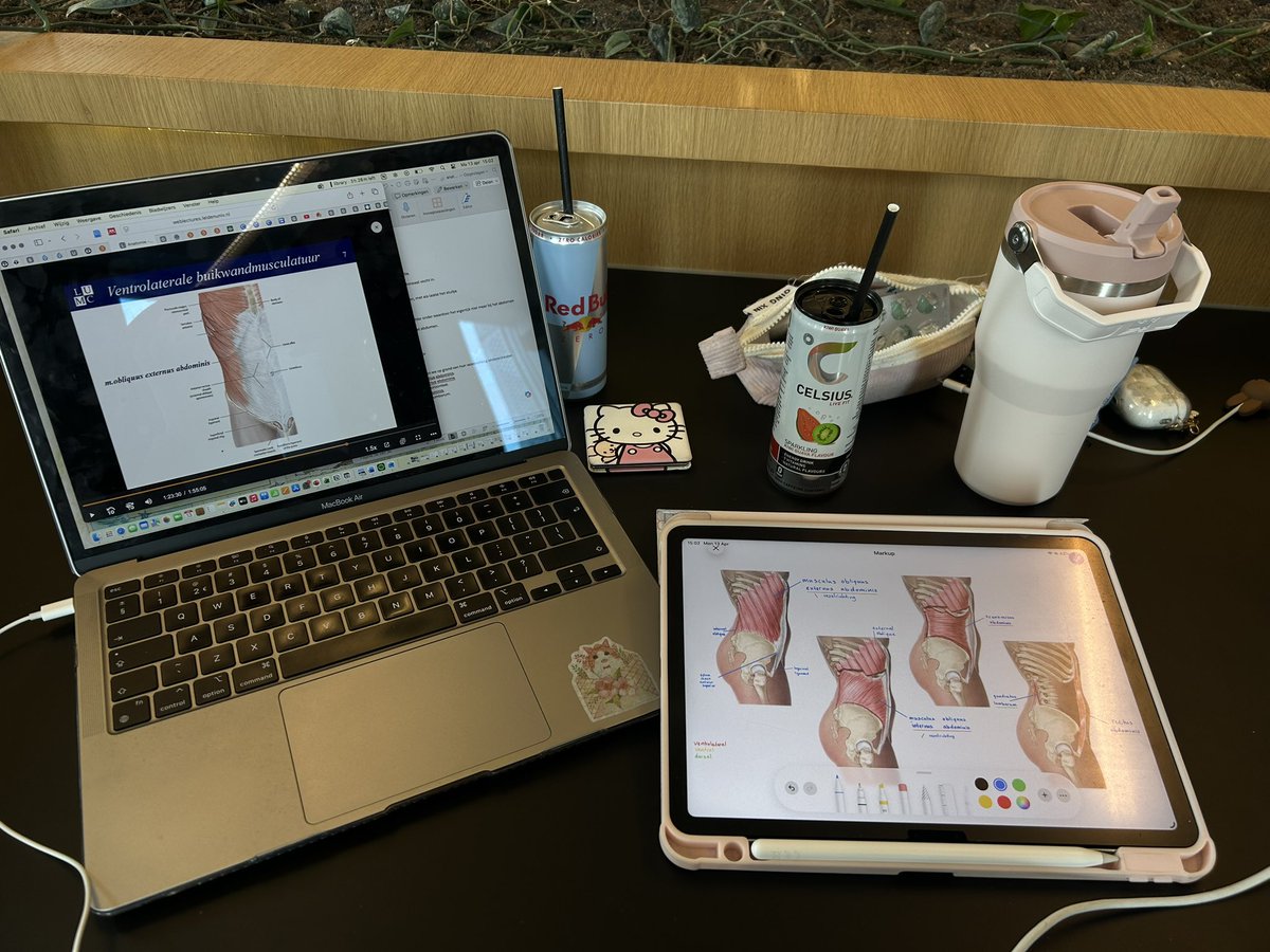 blueyukiakari's tweet image. anatomy 🔁