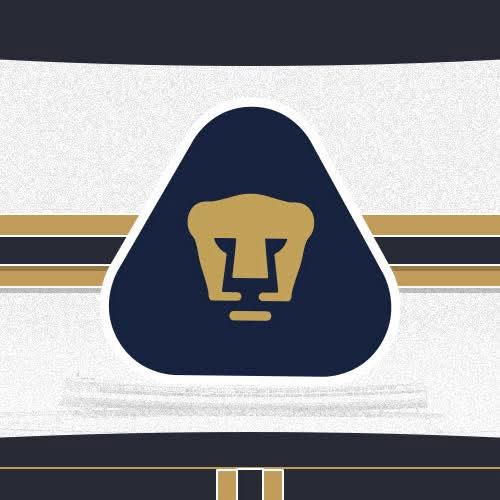 Pumas En La Piel tweet media