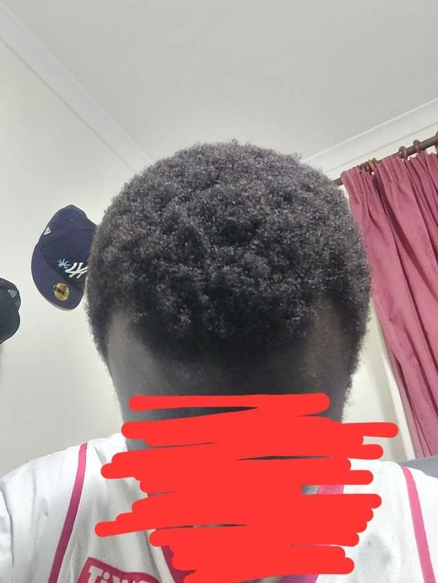 Nova Nobreza tweet media