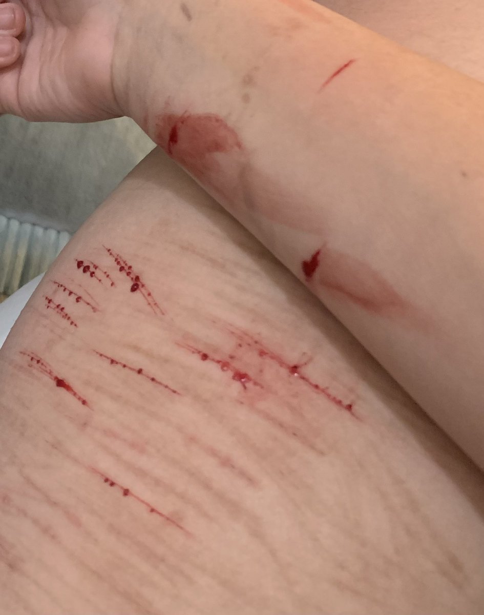 Kokichi Ouma of shed twt tweet media