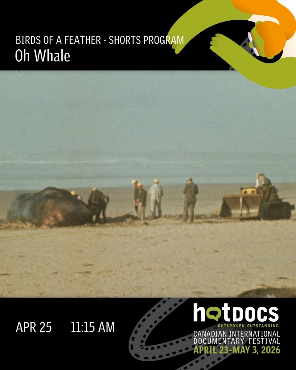 Hot Docs tweet media