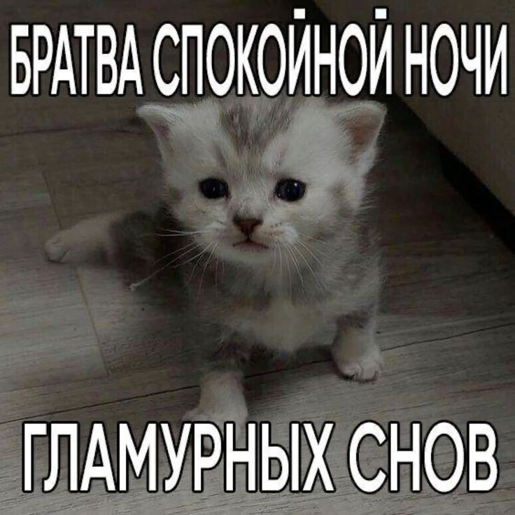 wwvvvrrr tweet media