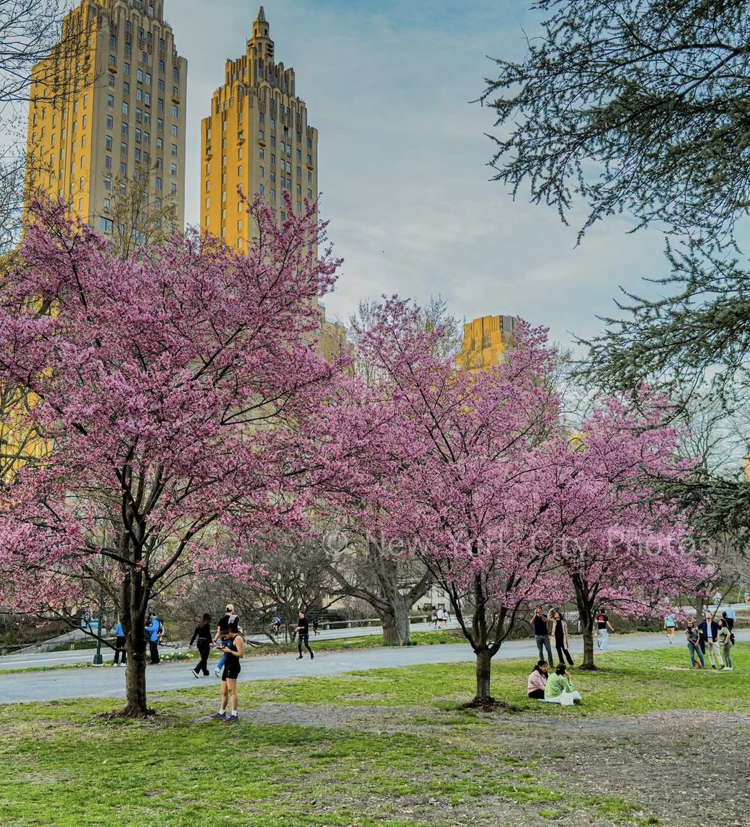 Samar.R🇺🇸🇱🇧 tweet media