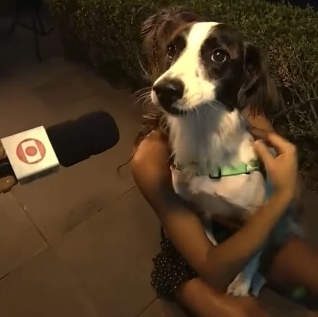 jê🥞🐅 tweet media