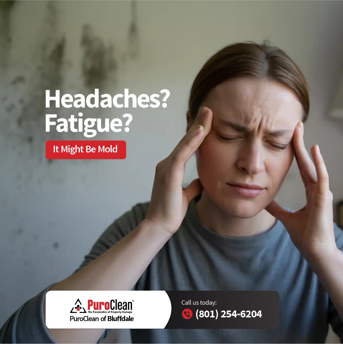 PBluffdale's tweet image. Headaches? Fatigue? 🤕
It might be mold—not stress.

Hidden mold can affect your health before you ever see it. Don’t ignore the signs.

📞 Call PuroClean of Bluffdale (801) 254-6204 for inspection &amp;amp; remediation

#Mold #BluffdaleUT #HealthyHome