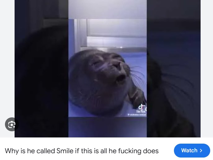 average ponsuke enjoyer tweet media