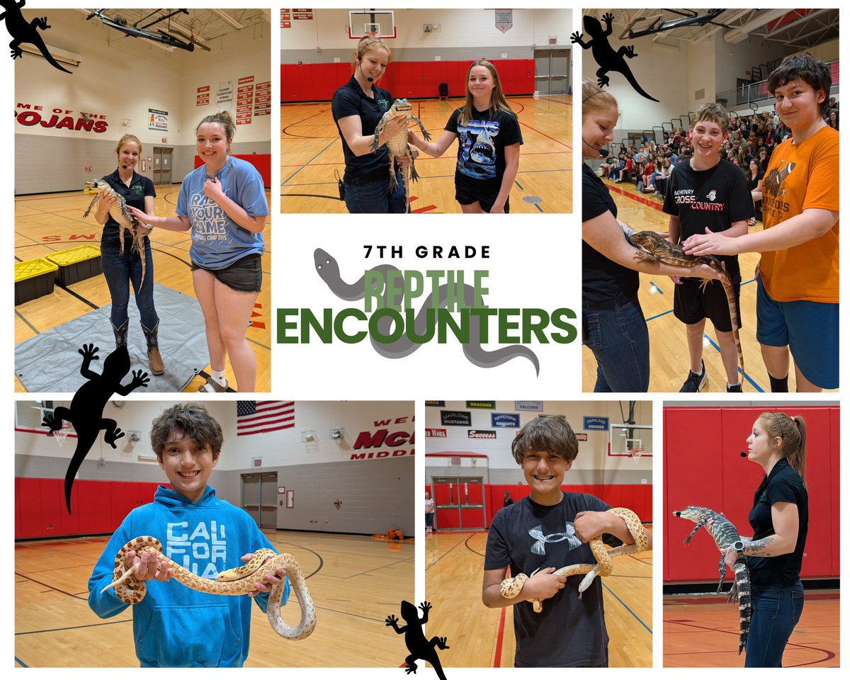 MMSTrojans's tweet image. Up close and personal with nature! 🦎✨ 7th Grade met amazing animals from Cold Blooded Reptiles &amp;amp; Parties and learned how adaptations help them thrive in their habitats. Huge THANK YOU to the MMS PTO for covering the cost so every student could attend! #PTO #TrojanNation