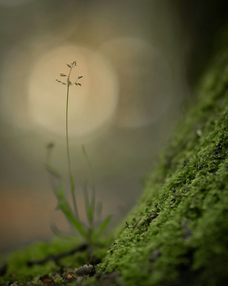 NewHopeUMC_VA's tweet image. Love your neighbor as yourself’ isn’t selective. James calls us to a love that doesn’t sort people into categories but sees the image of God in each one. May mercy guide our steps today.

#NewHopeUMC #TuesdayTruth