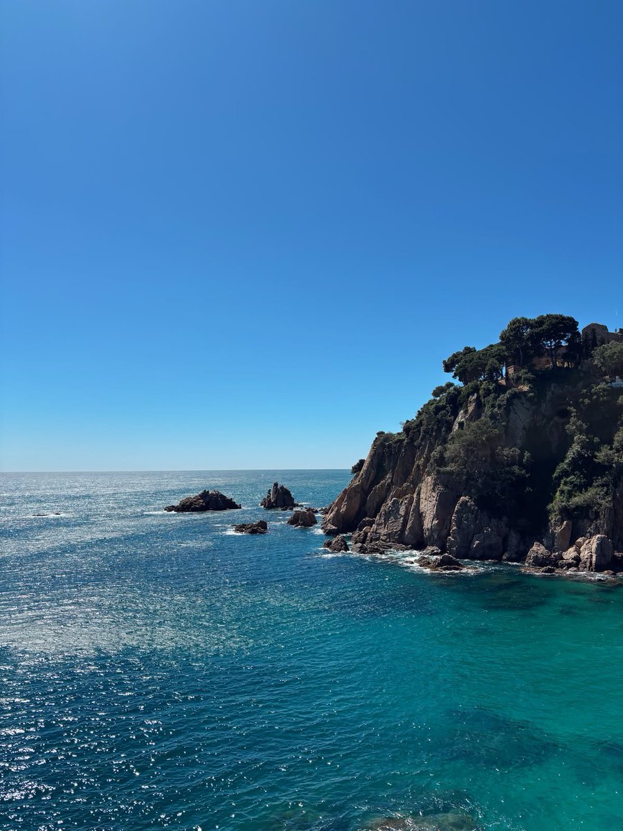 𝑙𝑦𝑟𝑎 tweet media