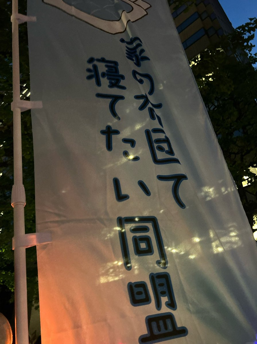 ねこかん tweet media