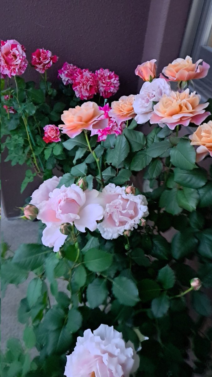 鈴木 tweet media