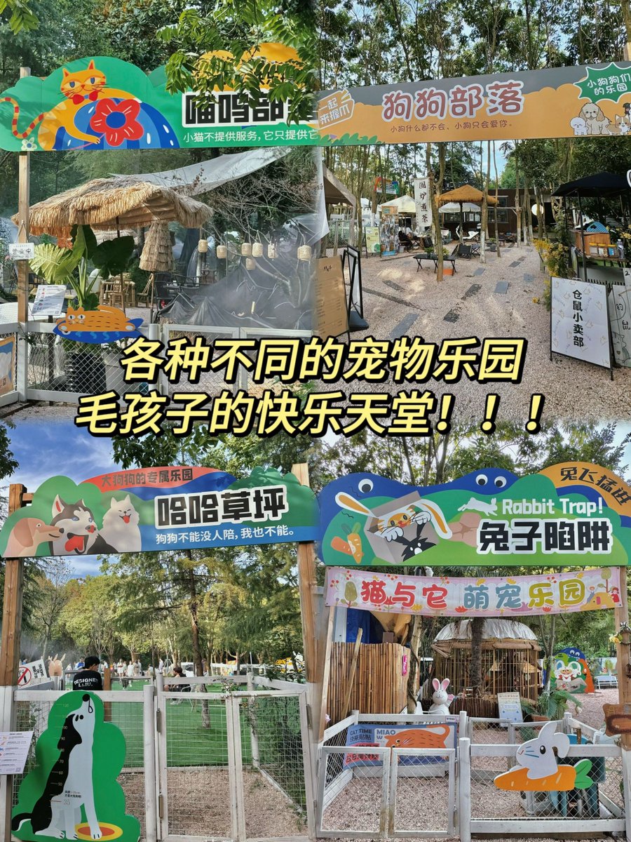 Mori  Hideyuki tweet media