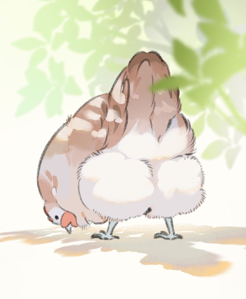 鳥モフ tweet media