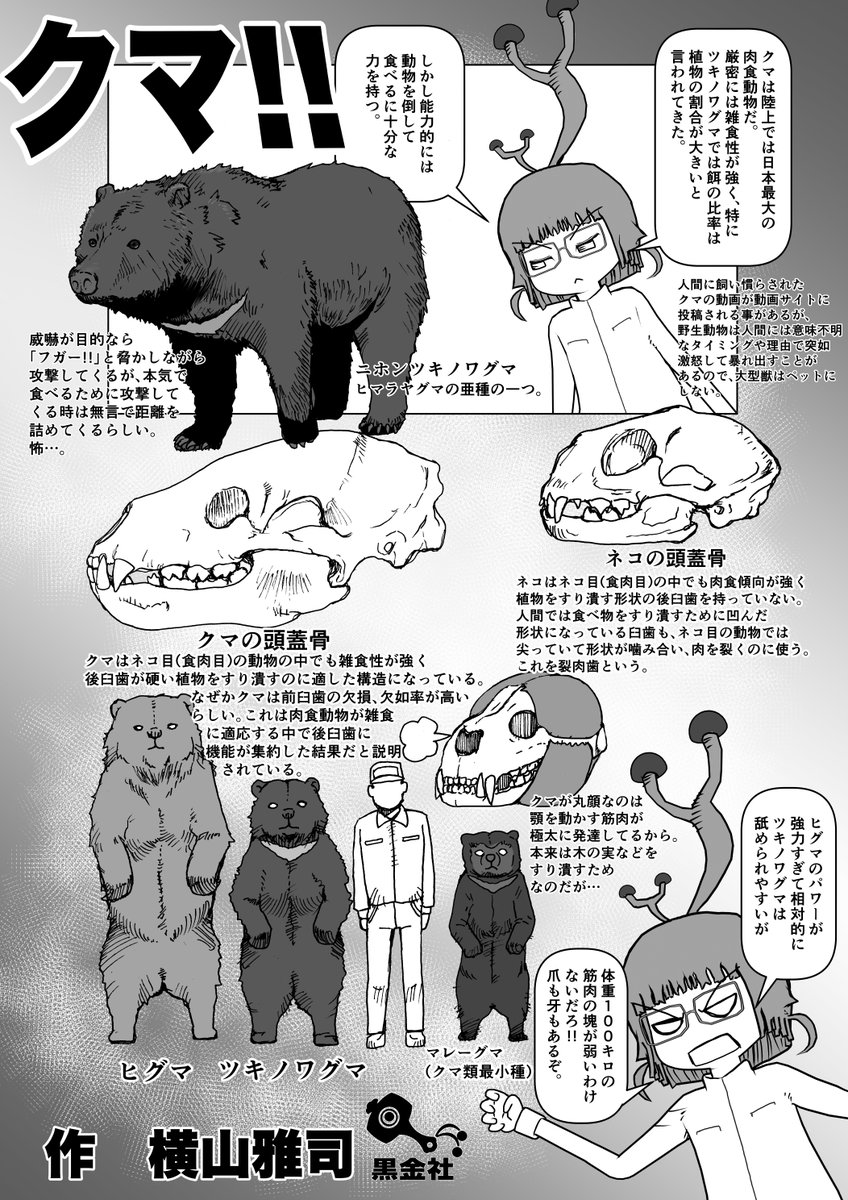 @AnimeTimes_Ch 若干ゃ解説2 #クック先生の動物講座 