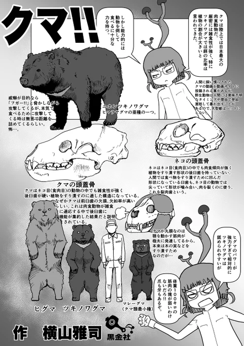 @AnimeTimes_Ch 若干ゃ解説2 #クック先生の動物講座 