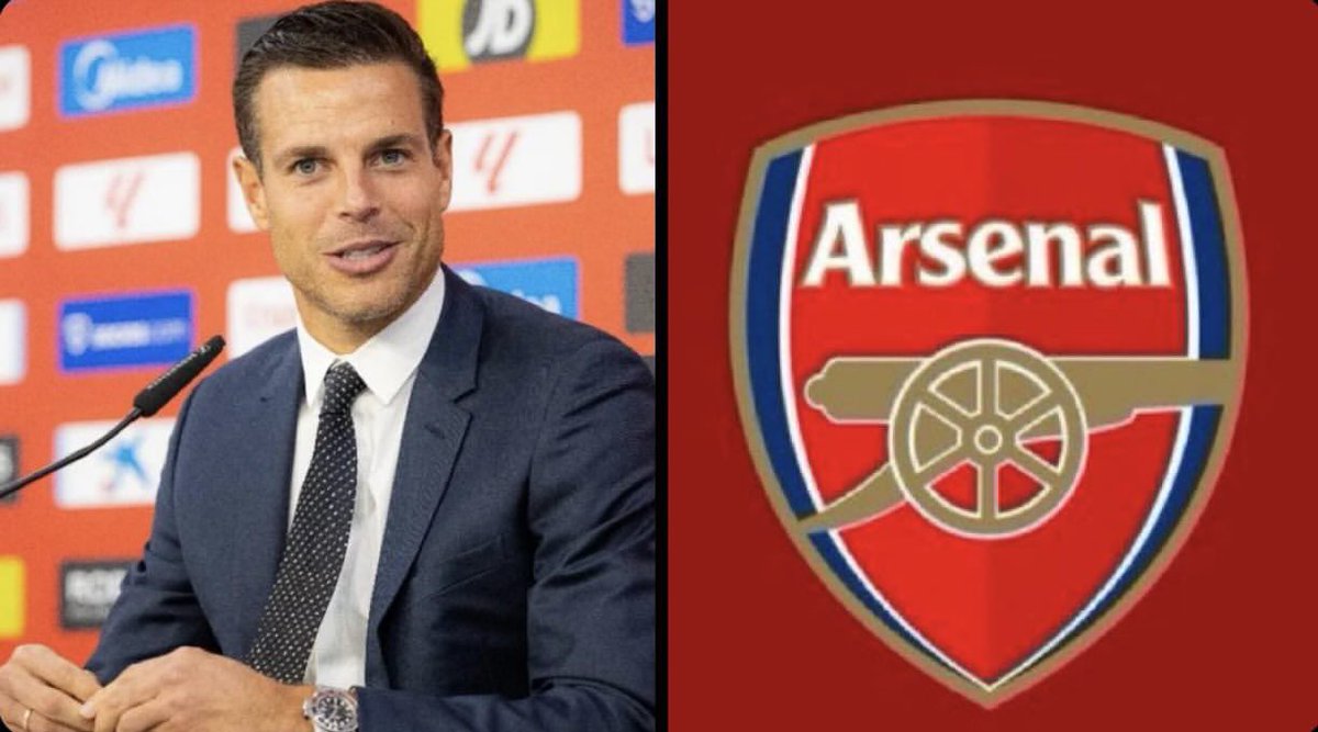 M Zubimendi 🇪🇸 tweet media