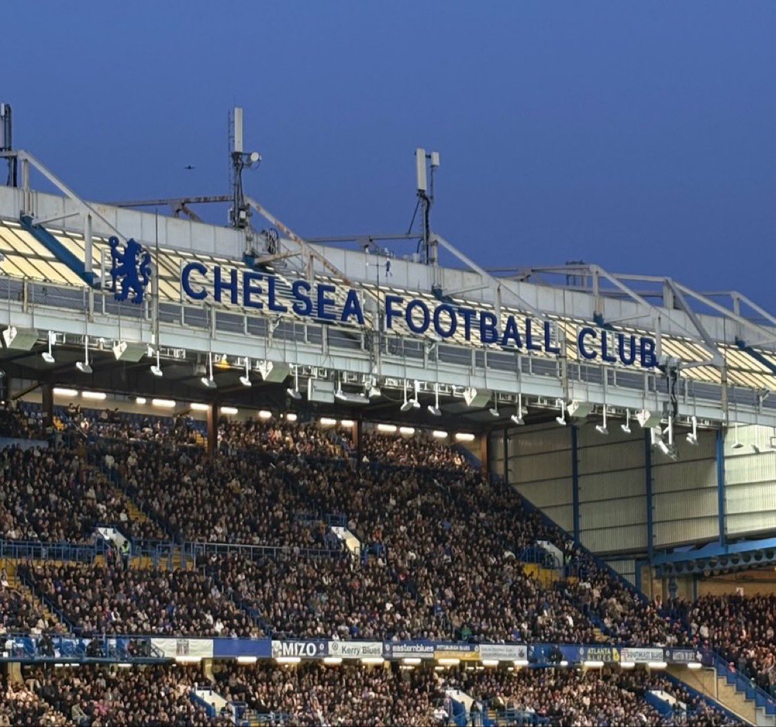 Lilywhite Rose tweet media