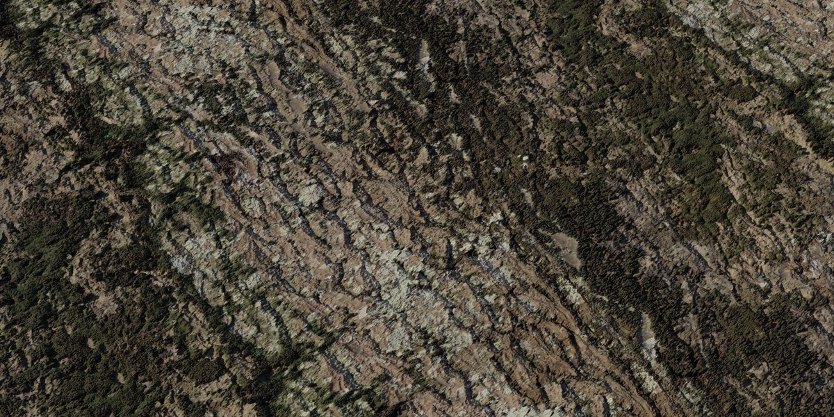 polyhaven's tweet image. New 8K Texture: Jolcham Oak Bark 01
Download: polyhaven.com/a/jolcham_oak_…
#free #cc0 #pbr #b3d