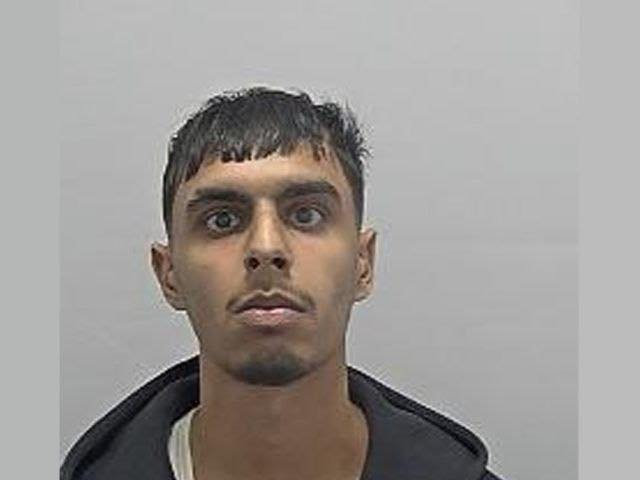 Alexandra tweet media