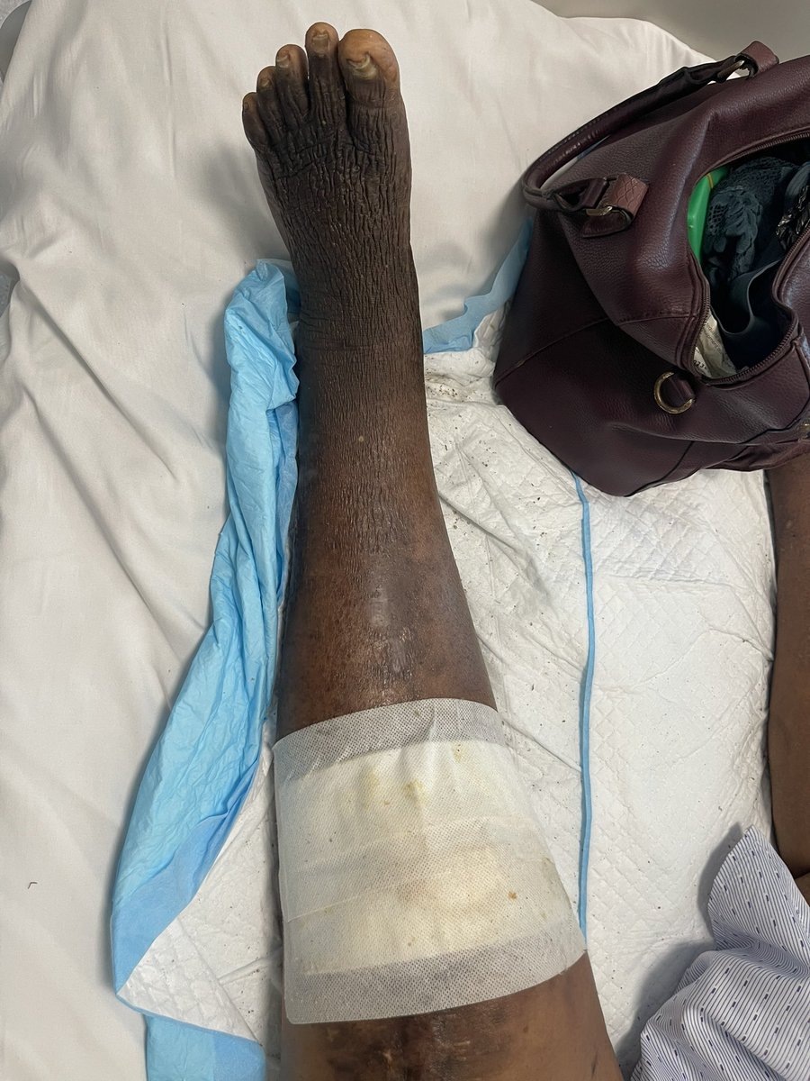 Chydymma tweet media