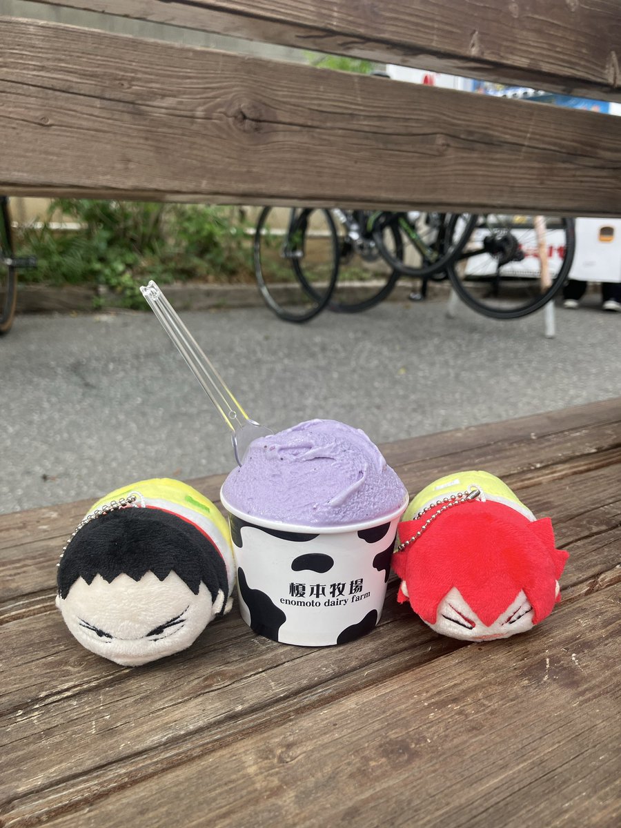 今日は🐻🐯と一緒に、川をいつもと逆方向に走ってみました🚲
道がとっても走りやすかった‼️
おしゃれなお店に寄りつつ、牧場目指してゆるっとライド🐄🍨
ビンディングもかなり慣れてきました、NOコケで𝒇𝒊𝒏𝒊𝒔𝒉です✌🏻🎶