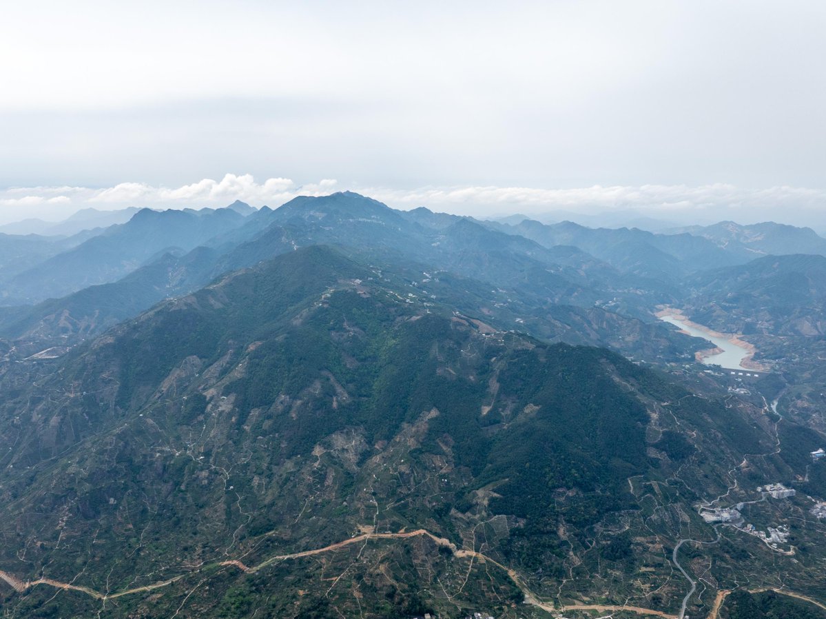 thisisGBA's tweet image. 🚁 Drones are transforming tea farming! Young tea farmers are using drones to transport fresh leaves down from high mountain plantations, solving transportation challenges and bringing Guangdong's alpine tea to the world.

📍 Guangdong Tea Highlands | April 2026

#Drone #Tea