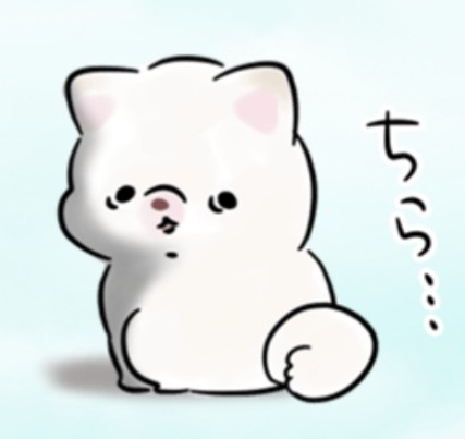 ひさき🎣 tweet media