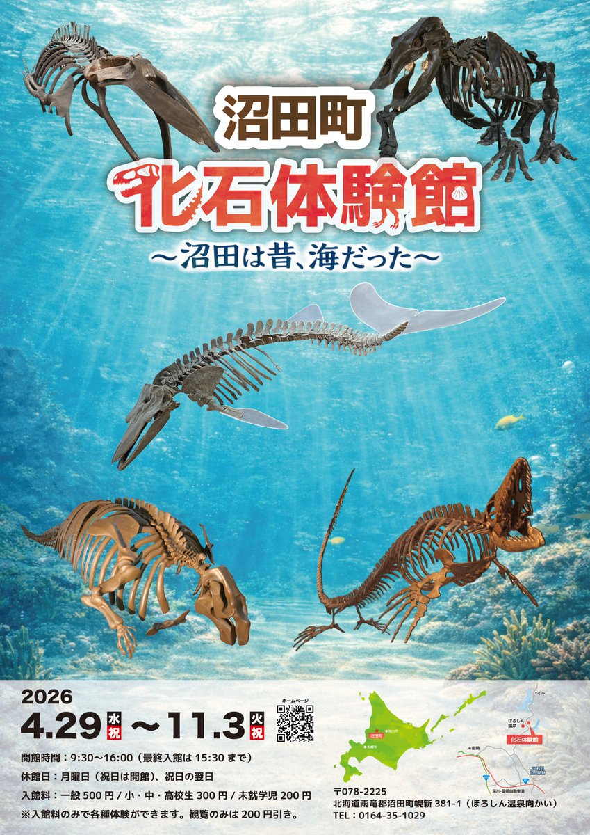 沼田町化石体験館【公式】 tweet media