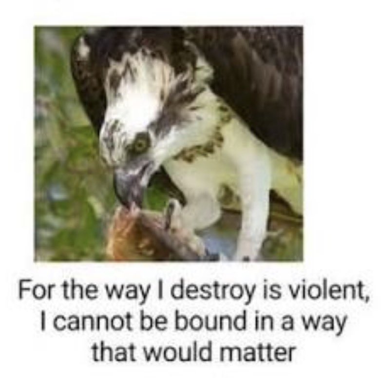 i am smiling tweet media