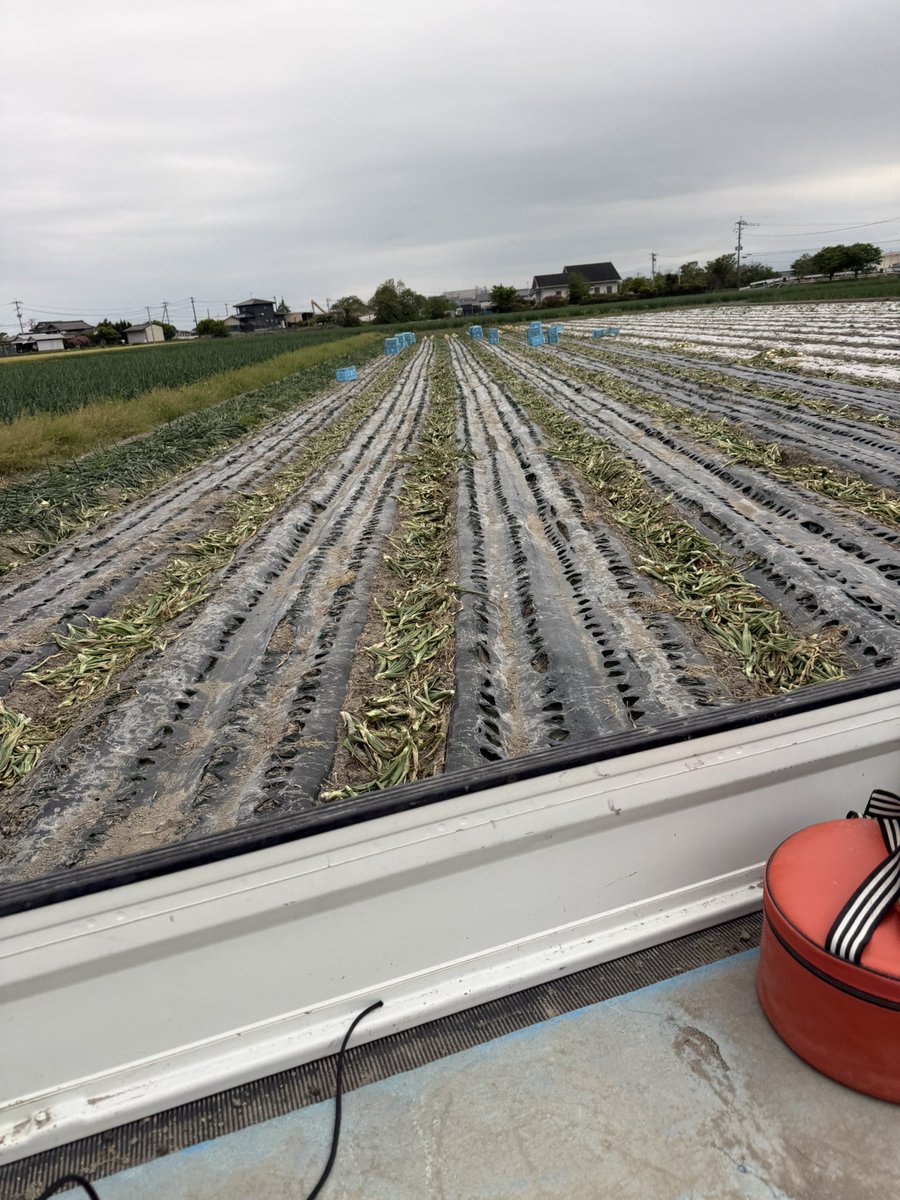 ぱ〜ちーくん tweet media