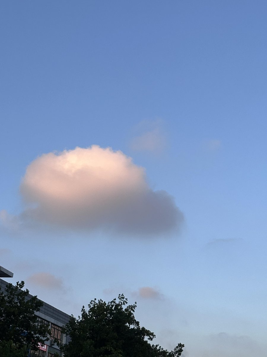 Daisy T Flowers tweet media