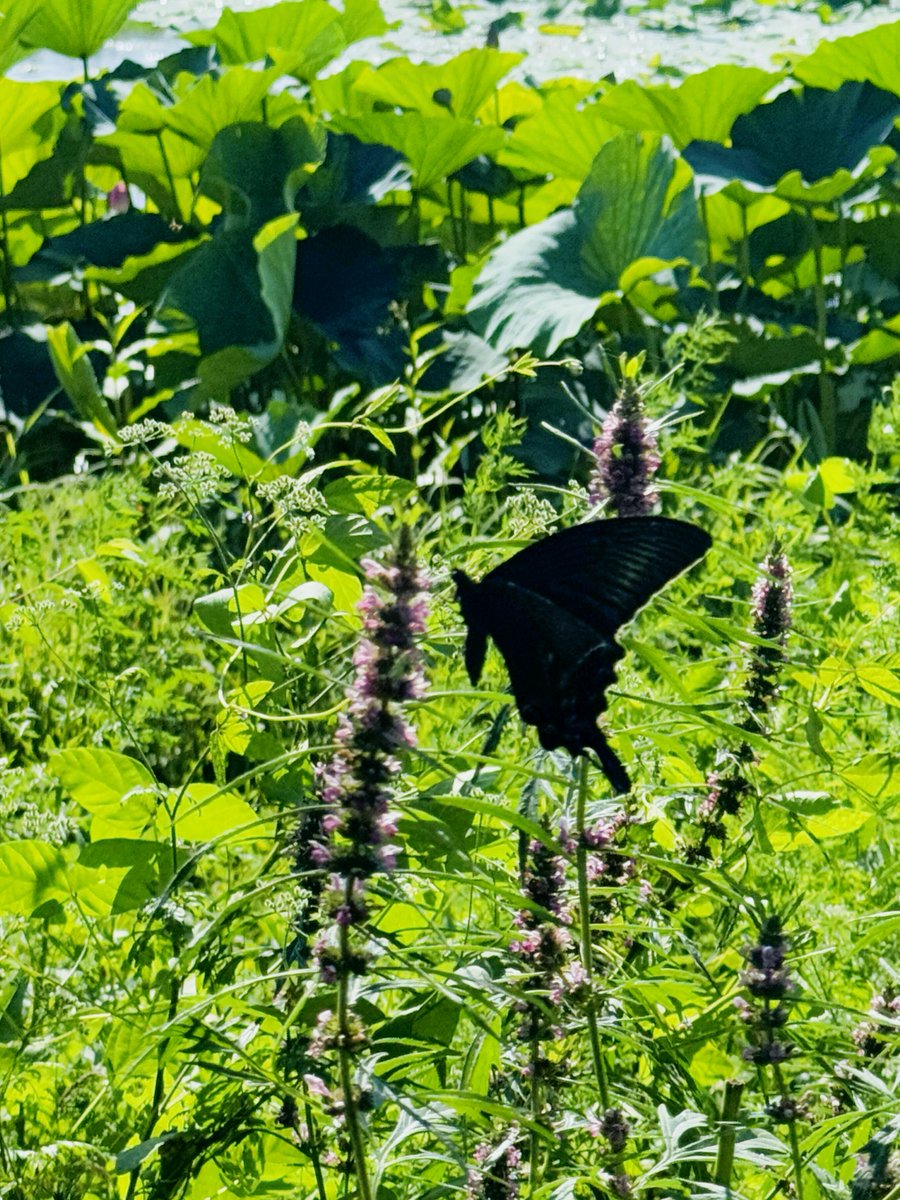 Кунникова Светлана tweet media