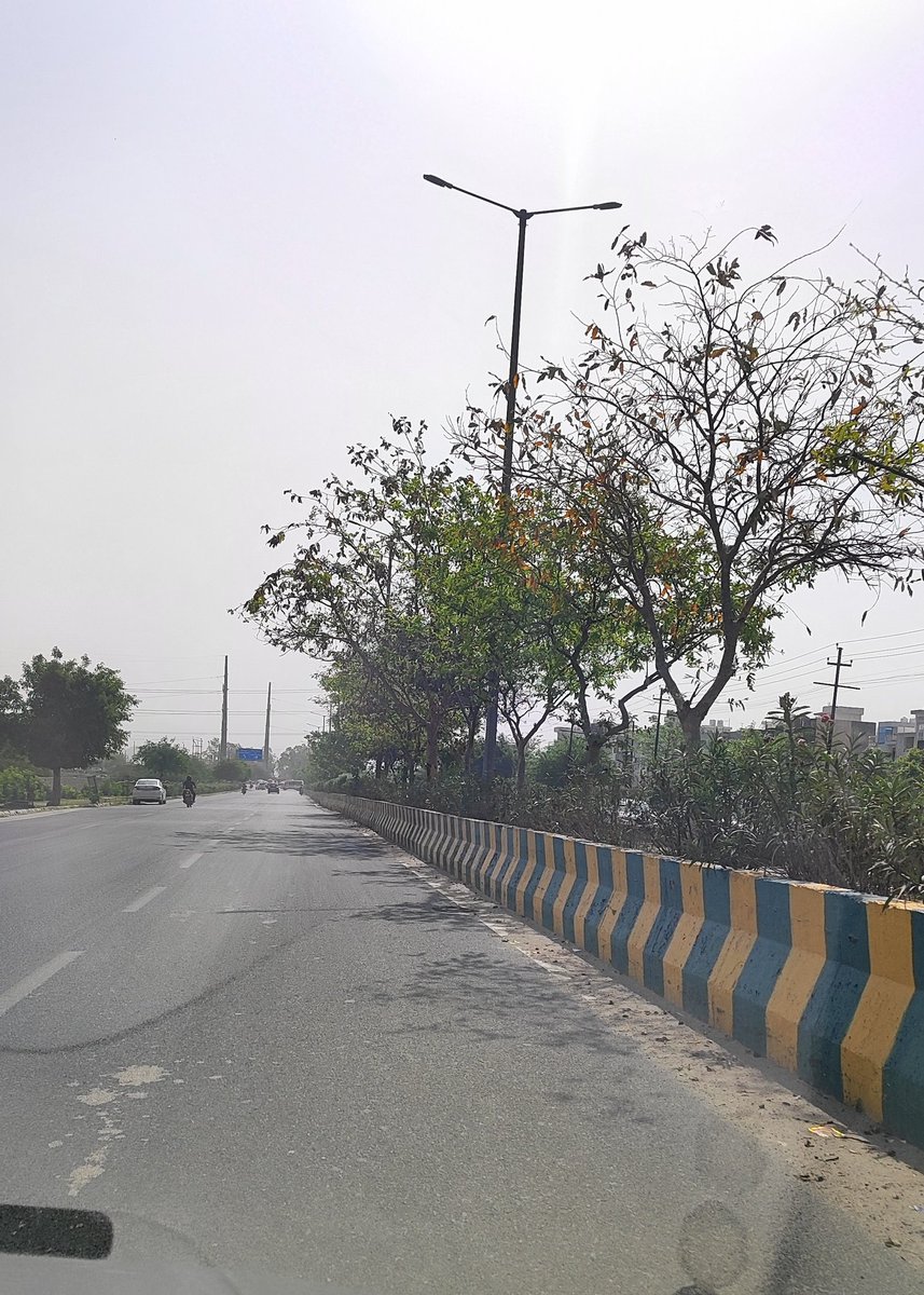 rockme26's tweet image. #noida
@CeoNoida @noida_authority @CPCB_OFFICIAL @CAQM_Official @RoopaMishra77 @IasAlok @ChiefSecyUP 
Noida sec 116-112 main road 
Sec 115-112 main road towards FNG full of dust next to road divider despite mechanical sweeping machine contract here.
Please see the condition.