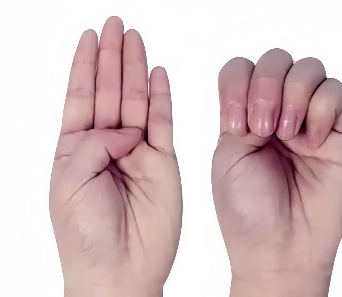 Katie McElligott tweet media