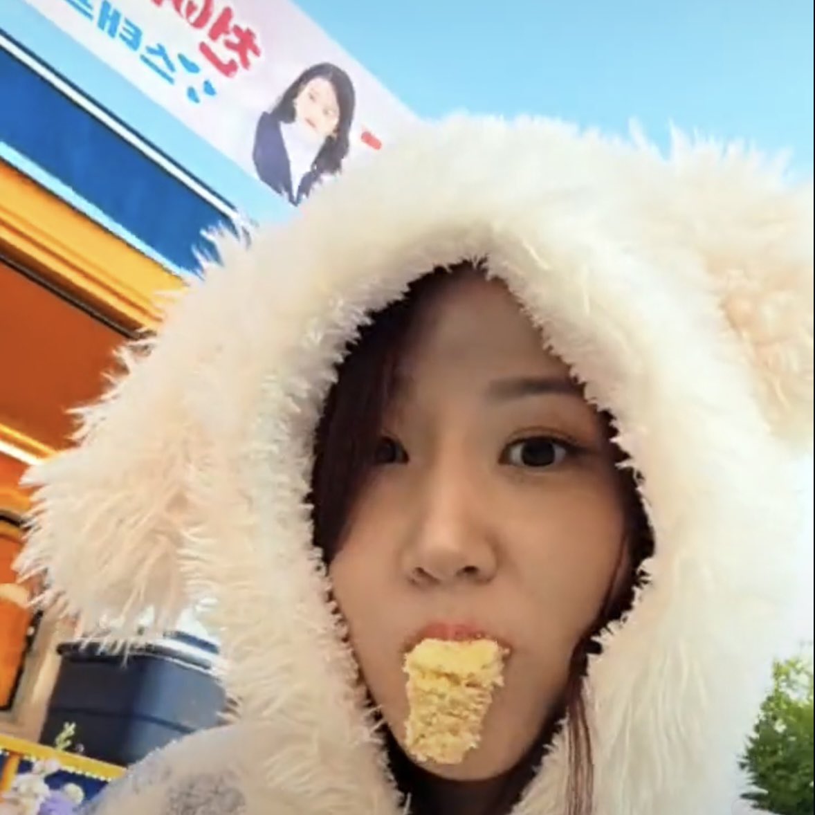 디어 tweet media