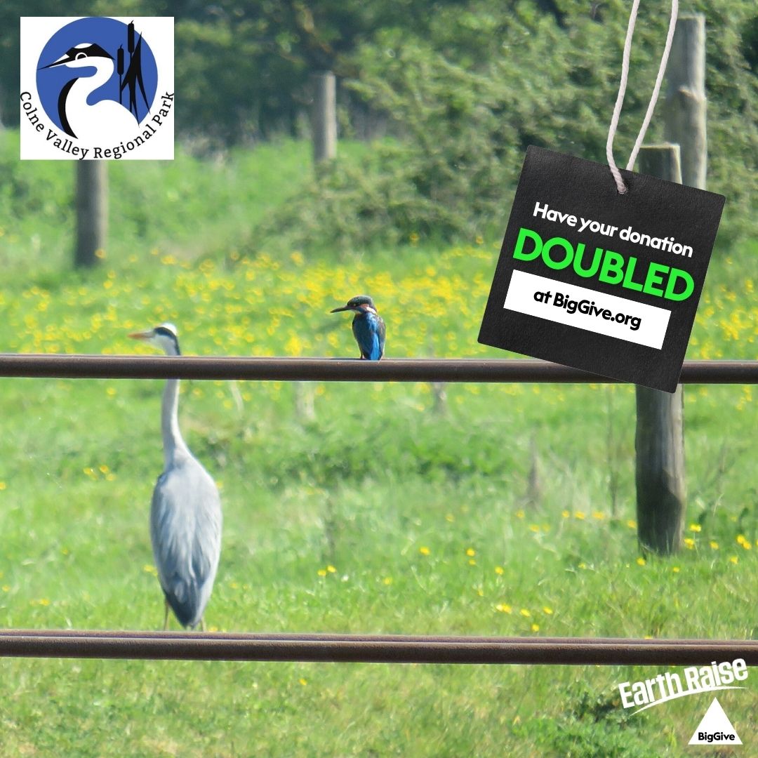 Colne Valley Park tweet media