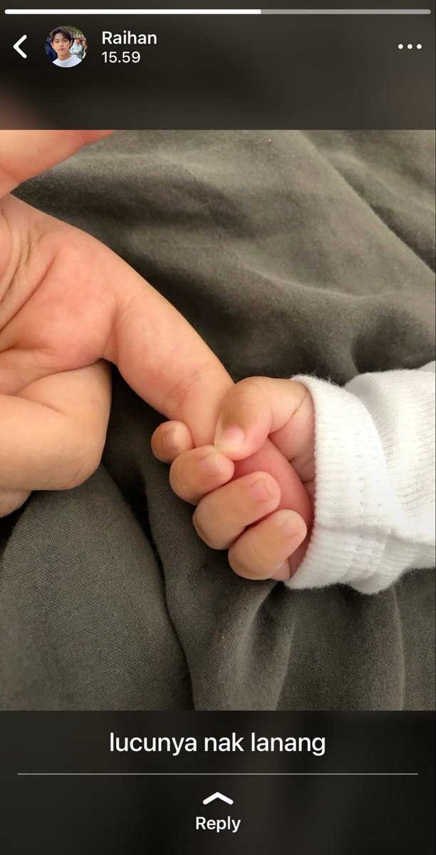 pud writes au 📌 tweet media