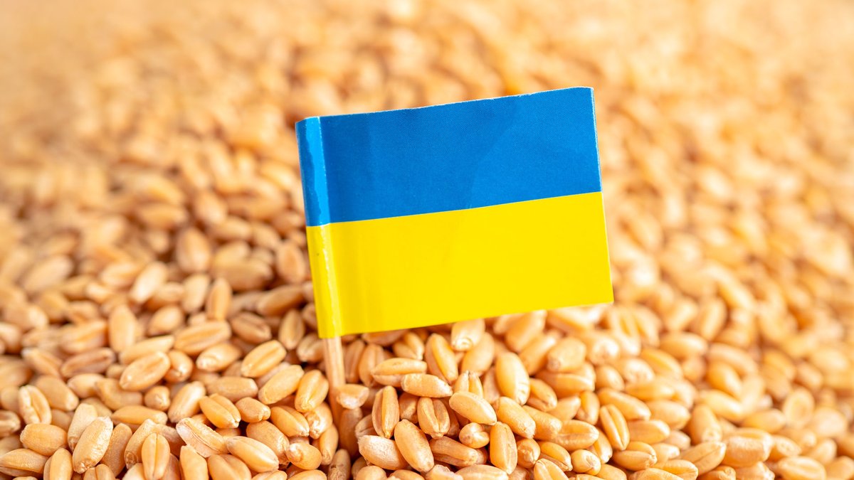 MenaToday1's tweet image. #Ukraine has summoned the #Israeli #ambassador for Tuesday morning after a second #vessel carrying what #Kyiv describes as #Russian-#stolen Ukrainian #grain docked at the port of #Haifa, Foreign Minister Andriï Sybiga announced Monday #Israel @andrii_sybiha